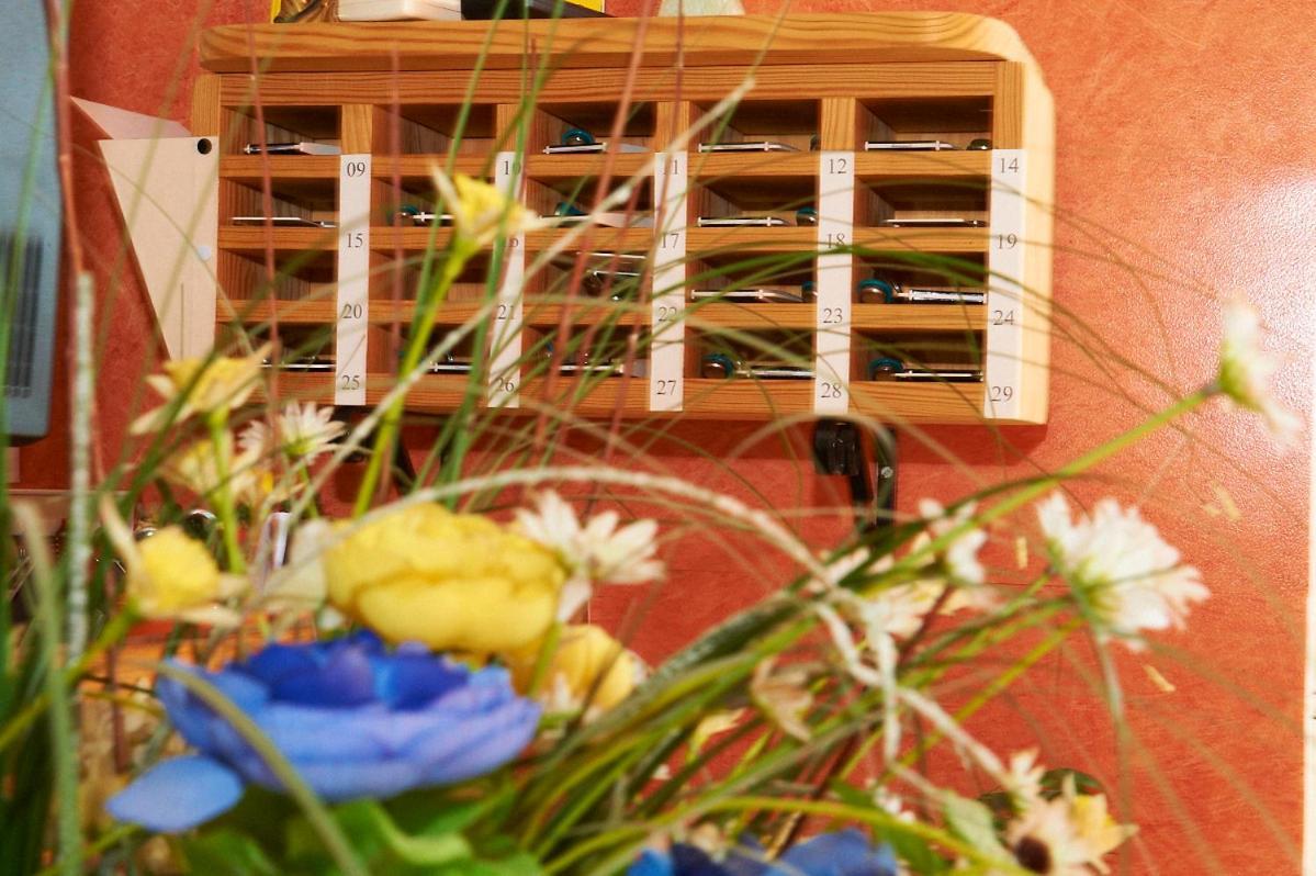 Hotel Le Relais Fleurance Dış mekan fotoğraf